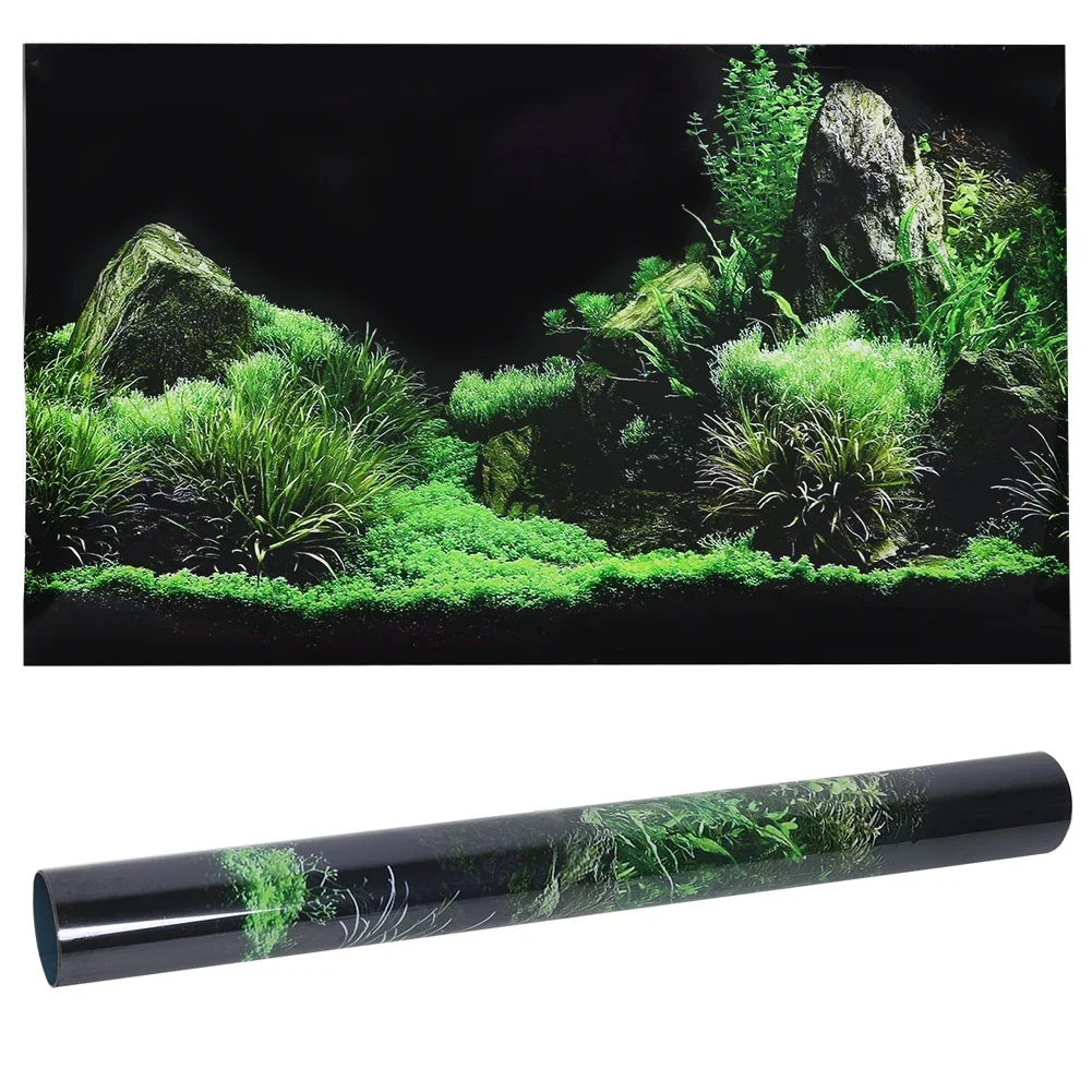 Aquarium Fish Cichlid - Tło do akwarium 3d plakat naklejka