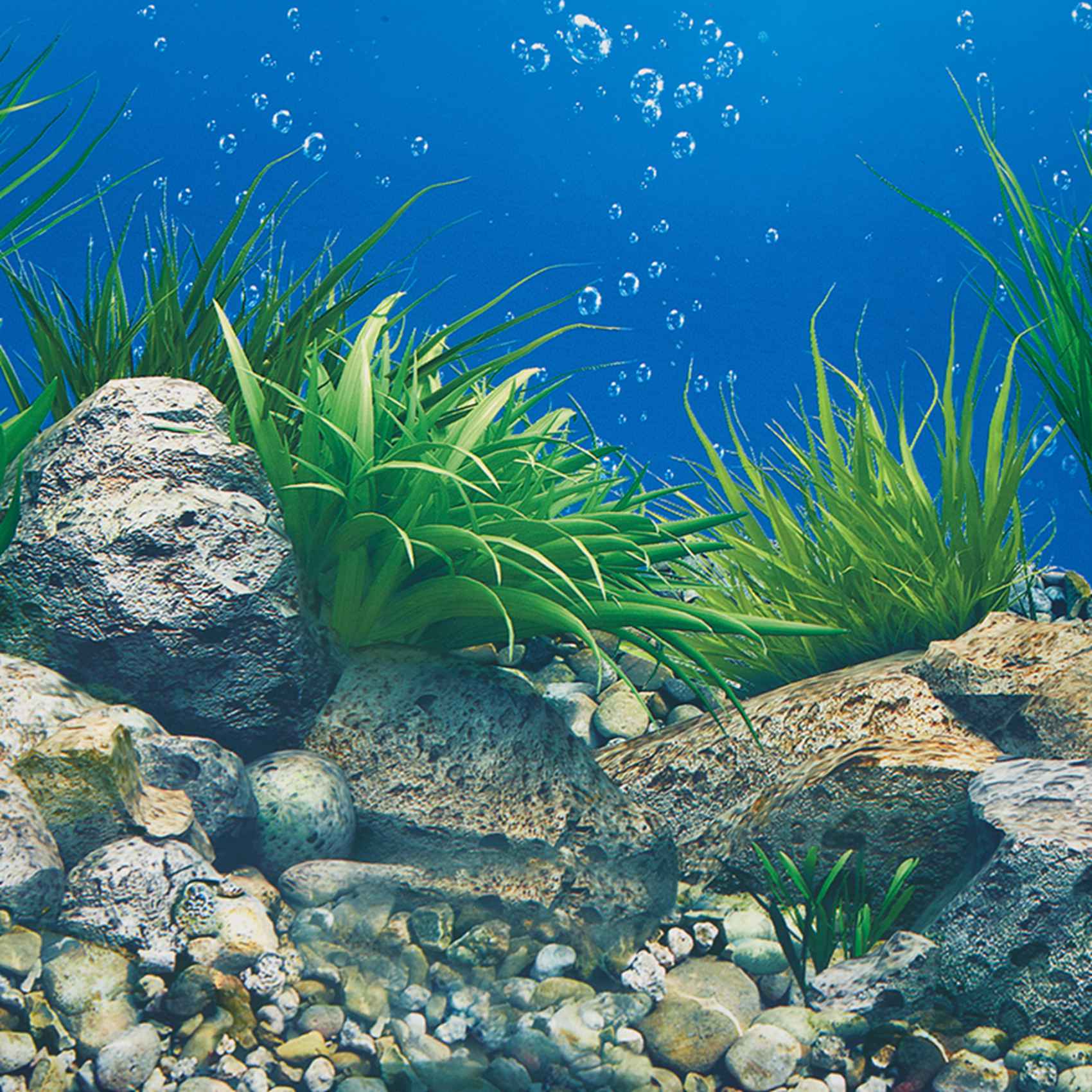 Aquarium Fish Wallpaper Hd - AB33 - Arkusz tła do akwarium