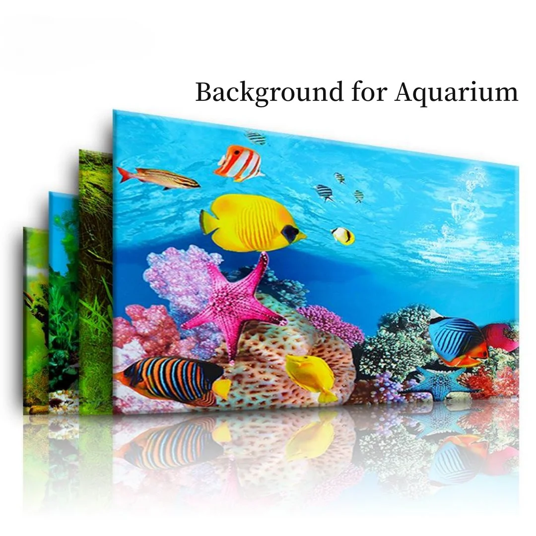 Aquarium Fish Cichlid - Tło Akwarium 3D Naklejka Plakat Dekoracja