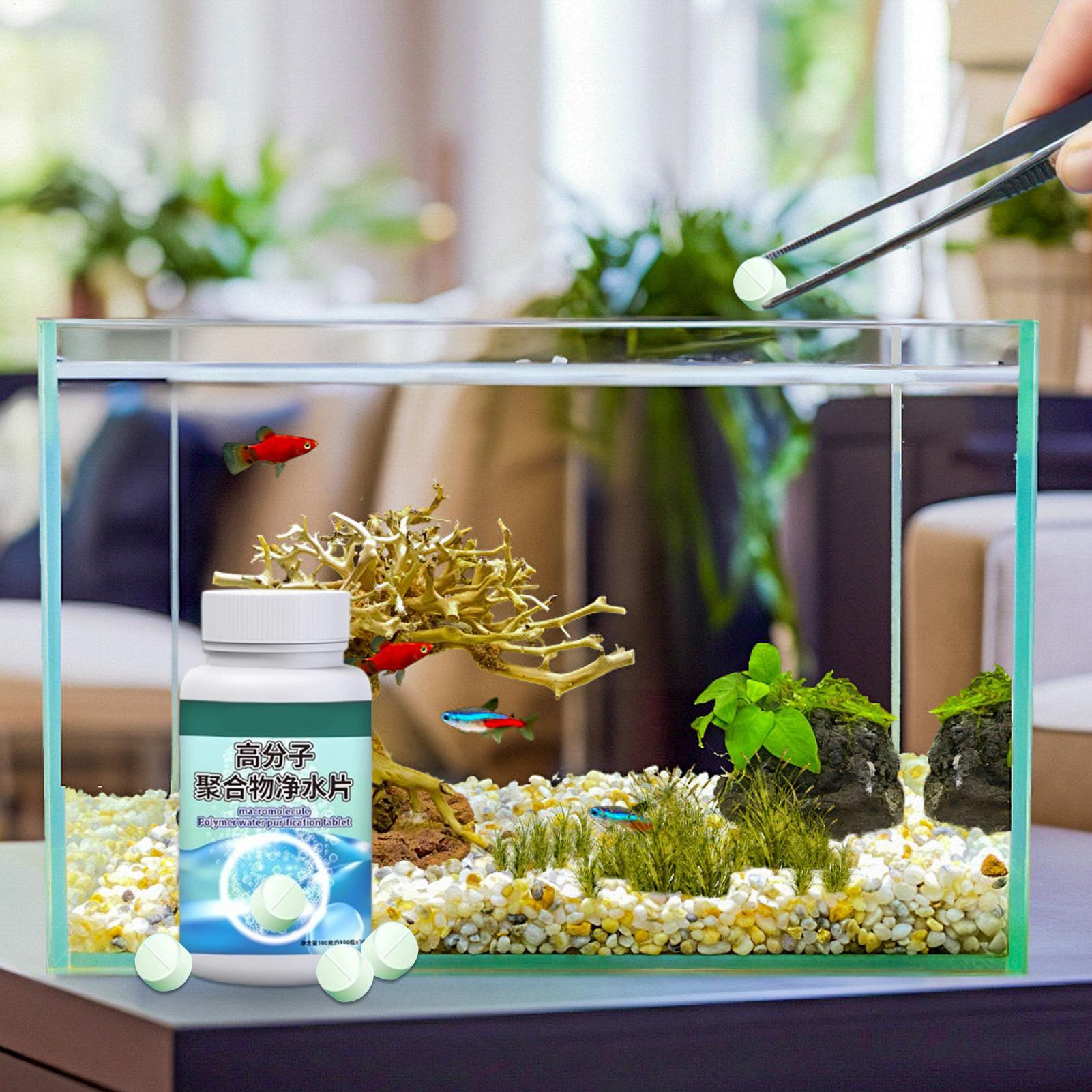 Tabletki do usuwania alg z ryb – Aquarium Fishing recenzja i cena