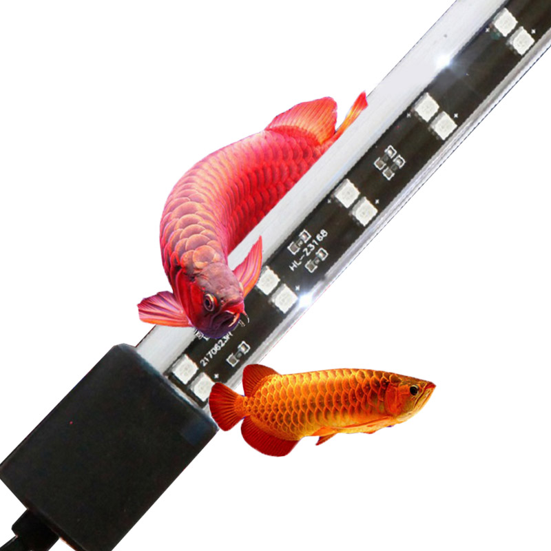 Lampa akwariowa 72 cm, 20 W, c – Aquarium Fish Keeping recenzja i cena