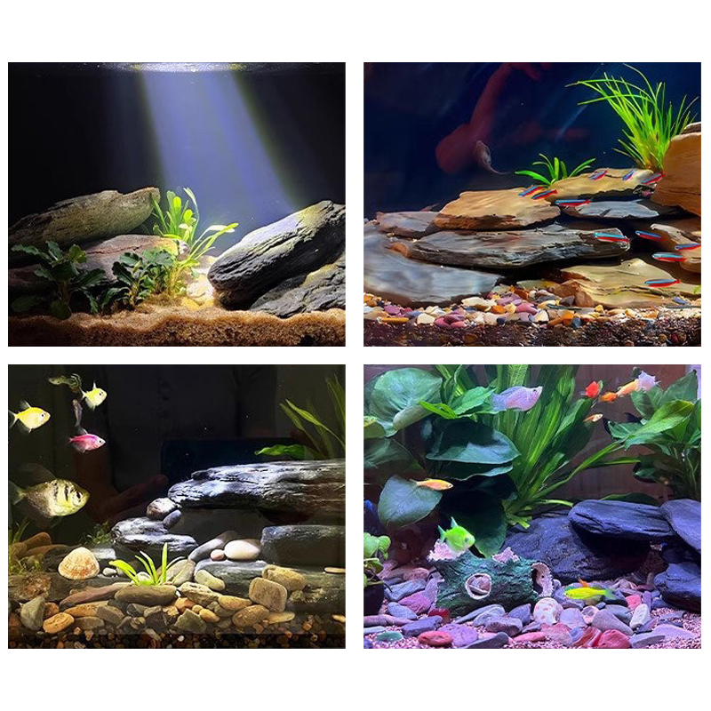 Zestaw kamieni do akwarium 500 – Aquarium Fish Cichlid recenzja i cena