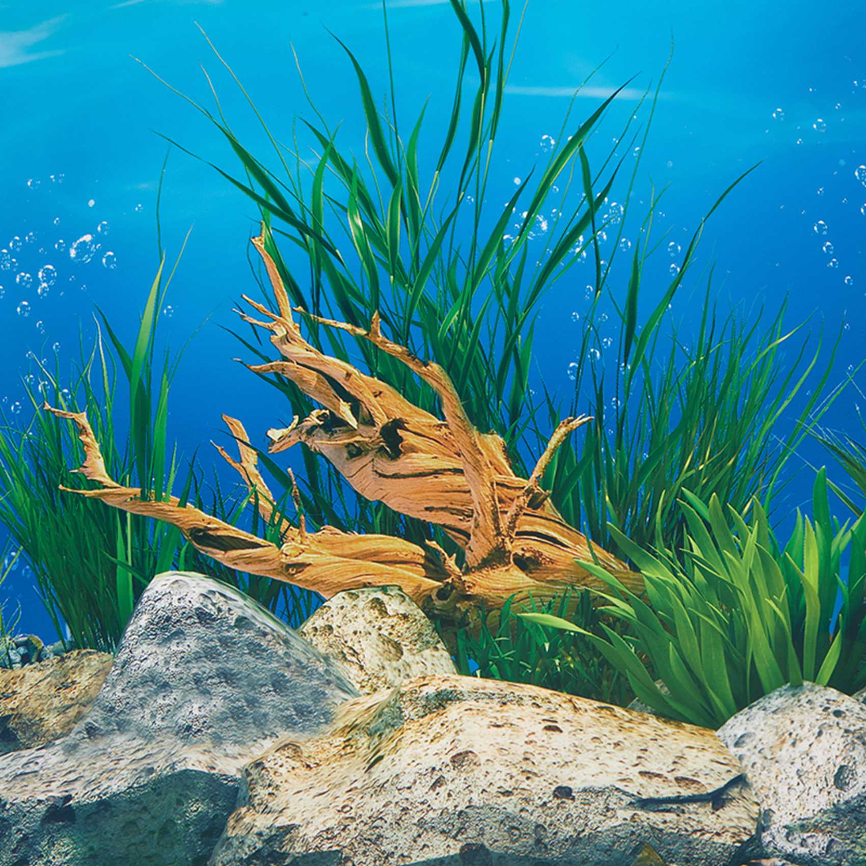 Papier tło do akwarium ABWR, o – Aquarium Fish Wallpaper Hd recenzja i cena