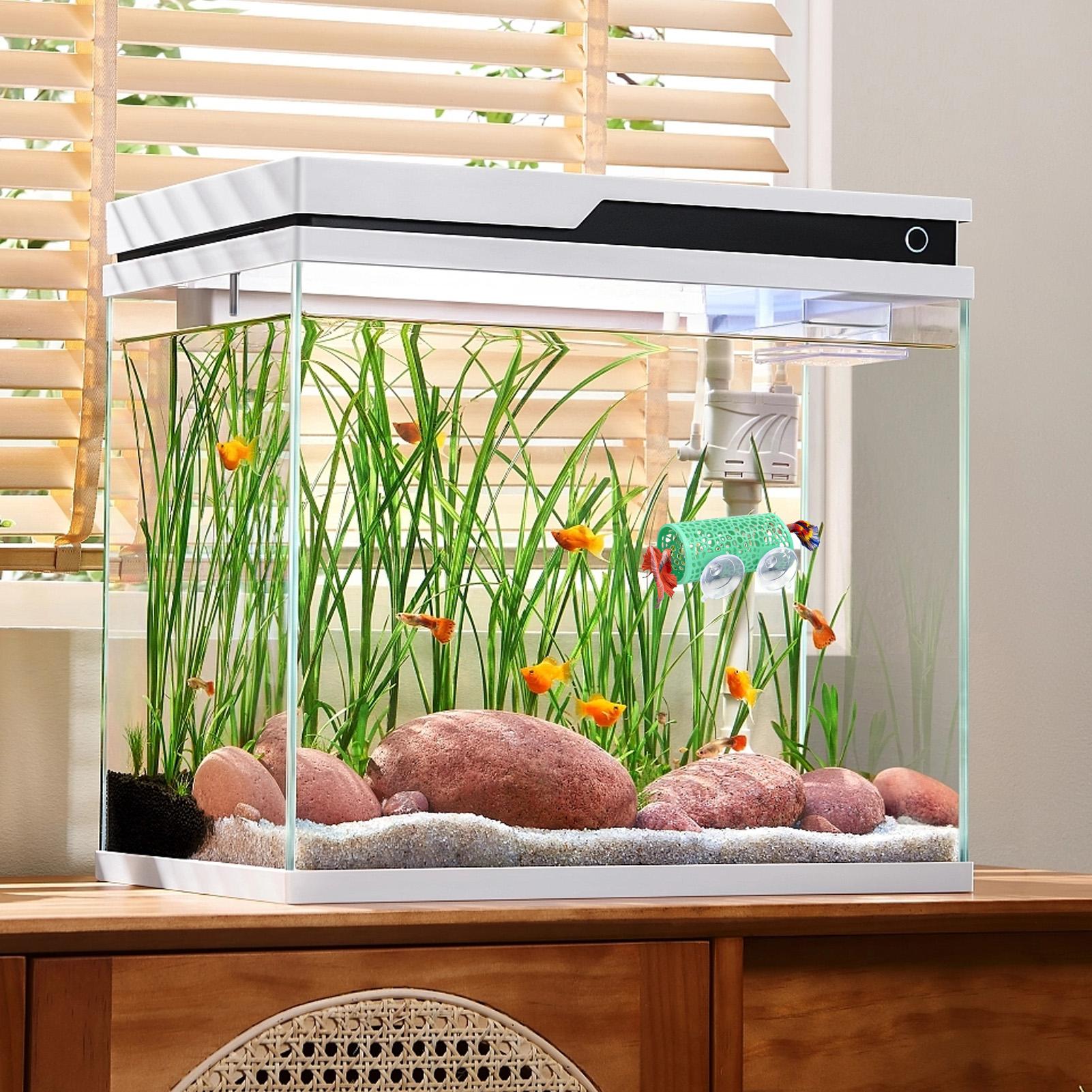 Ozdoba do akwarium Betta, tune – Aquarium Fish Cichlid recenzja i cena