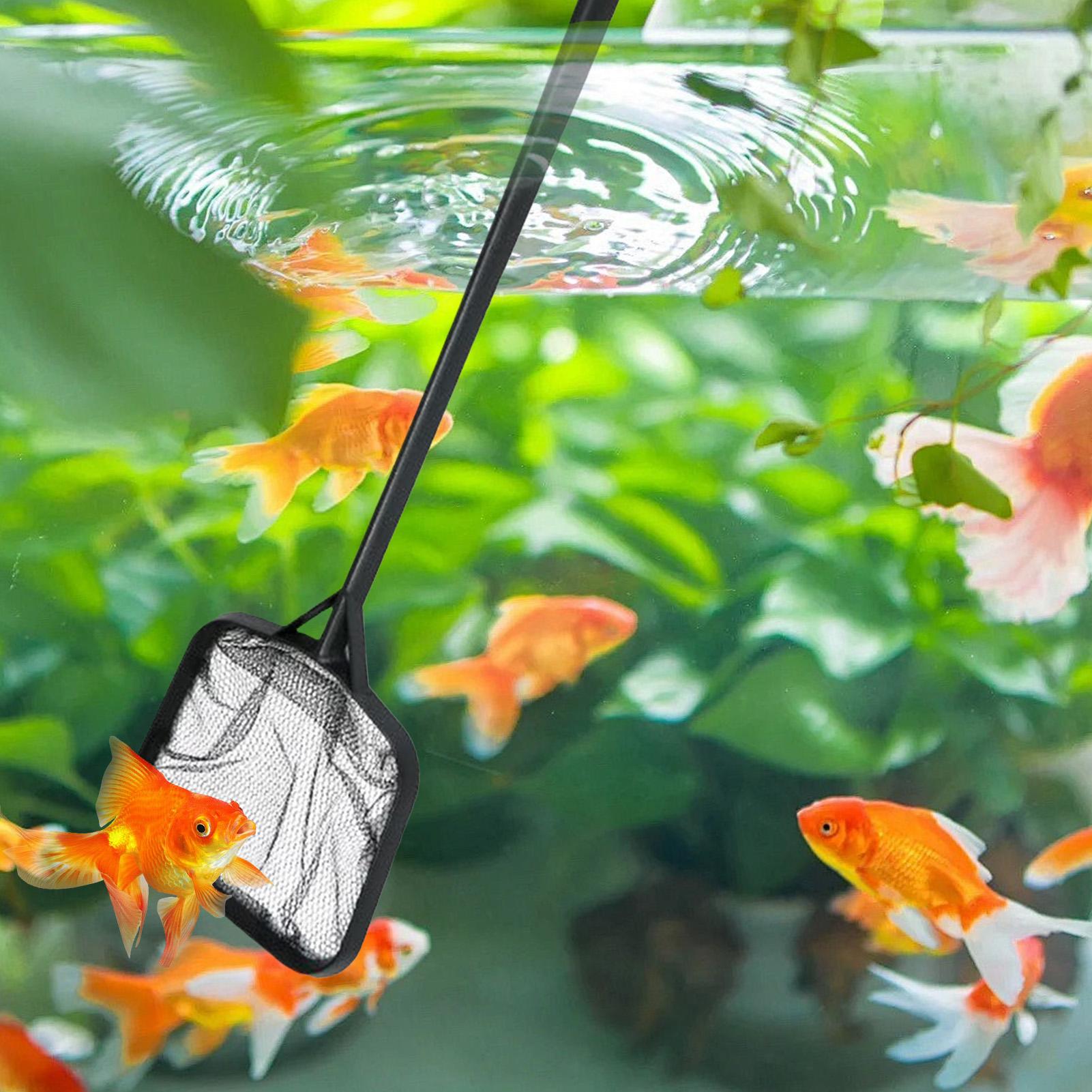 Siatki do czyszczenia basenów, – Aquarium Fishing recenzja i cena
