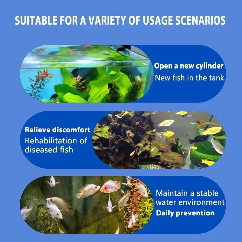 Leczenie chorób ryb SIKEZHAN i – Aquarium Fishing recenzja i cena