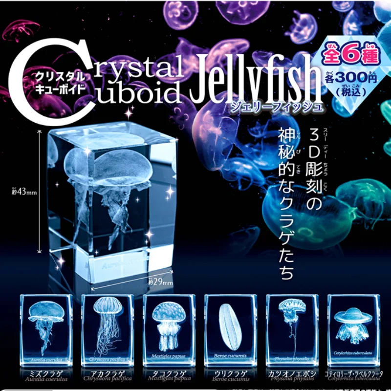 Japan Gashapon Jellyfish 3D Cr – Aquarium Fish Keeping recenzja i cena