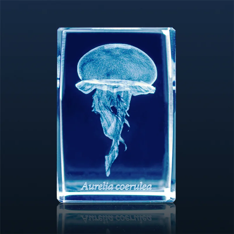 Japan Gashapon Jellyfish 3D Cr – Aquarium Fish Keeping recenzja i cena