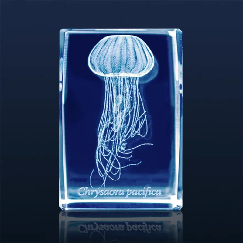 Japan Gashapon Jellyfish 3D Cr – Aquarium Fish Keeping recenzja i cena