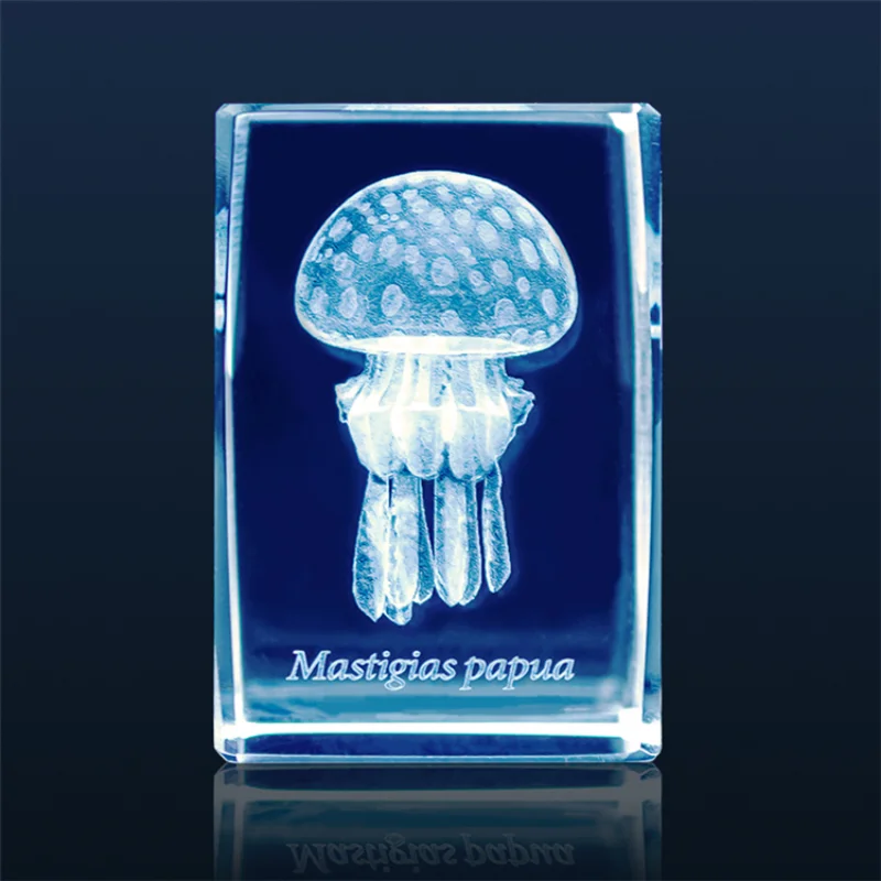 Japan Gashapon Jellyfish 3D Cr – Aquarium Fish Keeping recenzja i cena