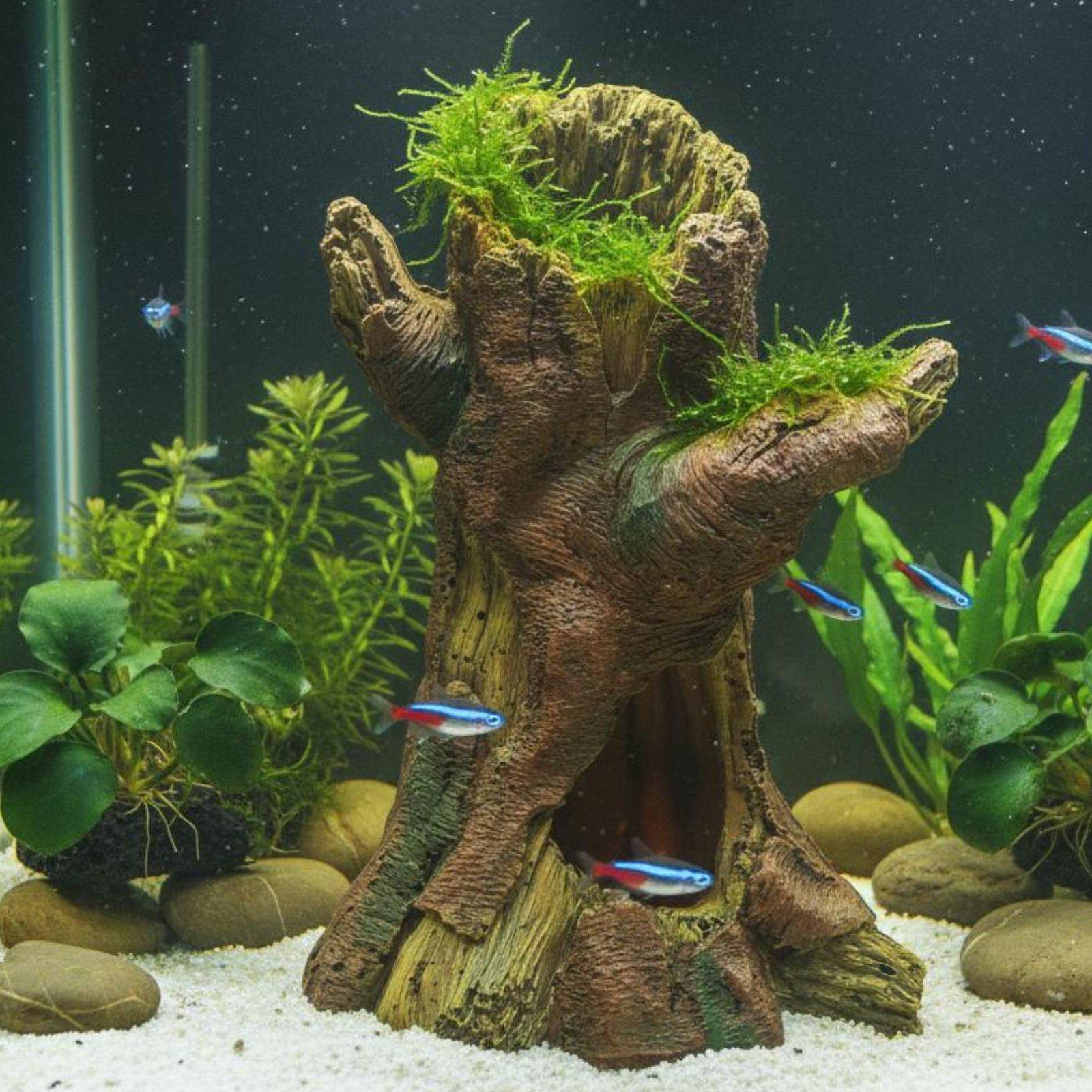 Dekoracja do akwarium, element – Aquarium Fish In recenzja i cena