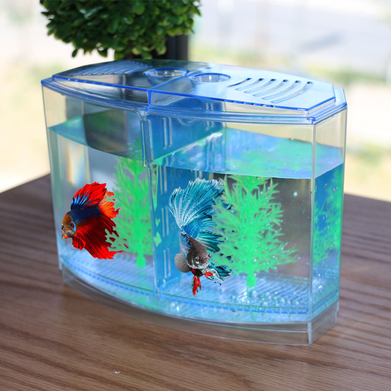 Nowatorska i zabawna zabawka K – Aquarium Fish Keeping recenzja i cena