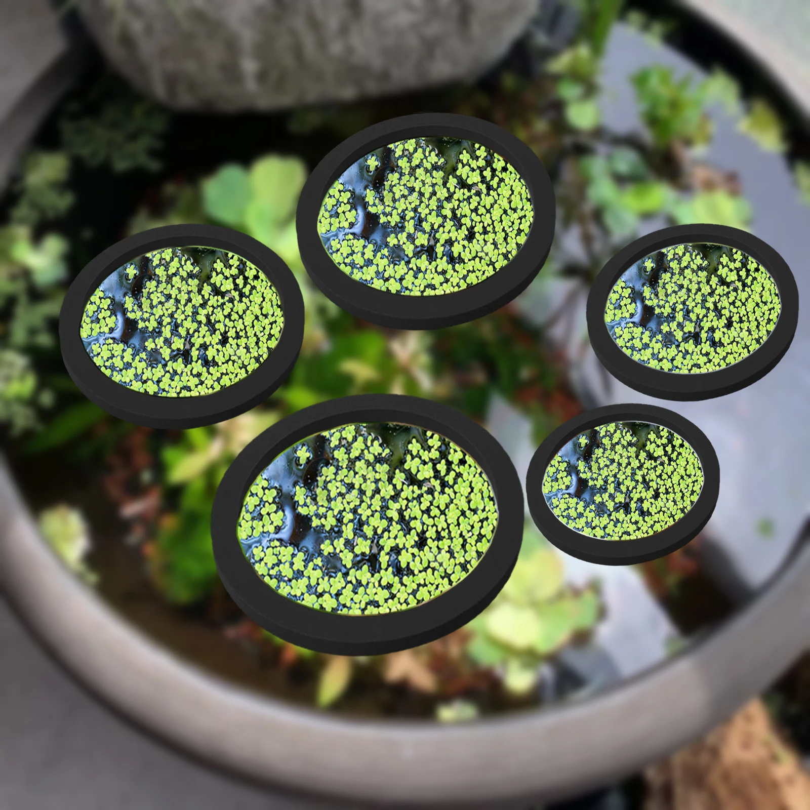 5Pcs EVA Pierścień do karmieni – Aquarium Fishing recenzja i cena