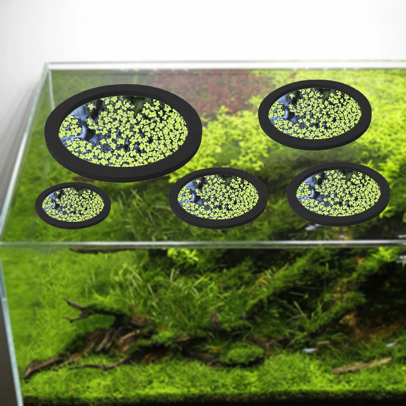 5Pcs EVA Pierścień do karmieni – Aquarium Fishing recenzja i cena