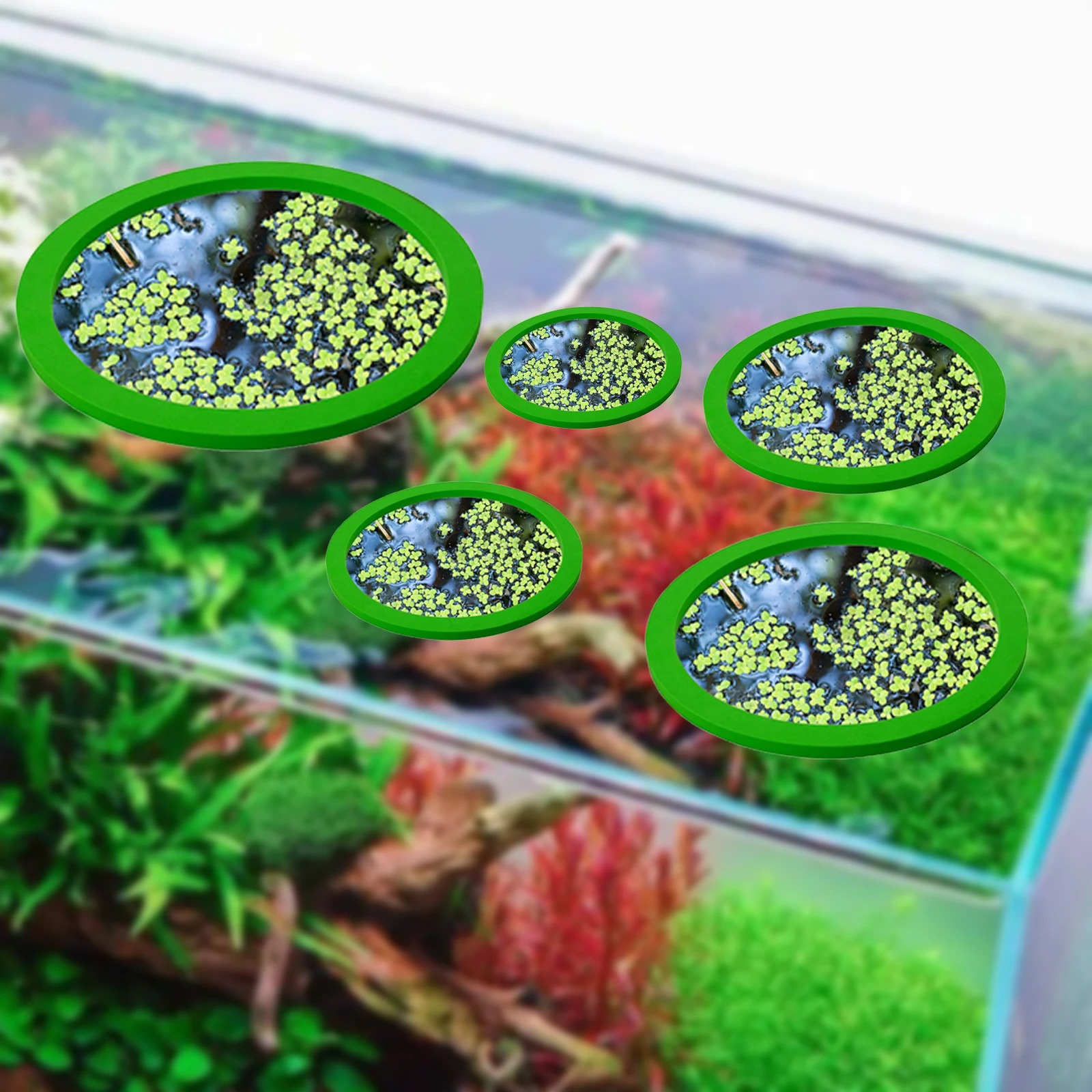 5Pcs EVA Pierścień do karmieni – Aquarium Fishing recenzja i cena