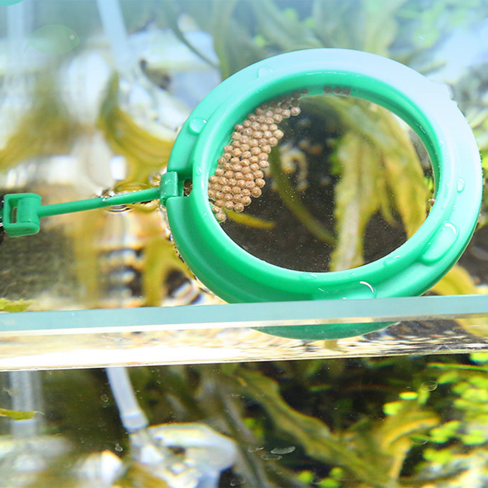 2 szt. Pierścień do karmienia  – Aquarium Fish Keeping recenzja i cena