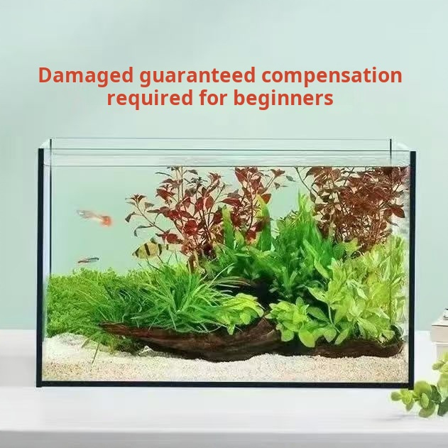 Bardzo Przejrzyste Duże Prosto – Aquarium Fish Keeping recenzja i cena