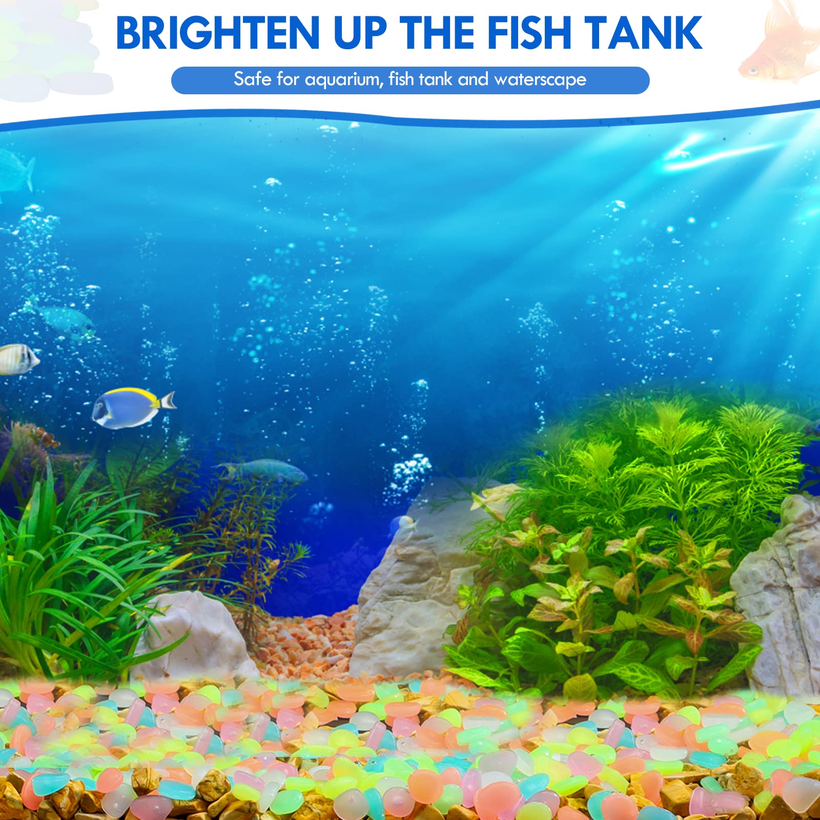 100 sztuk świecących w ciemnoś – Aquarium Fishing recenzja i cena