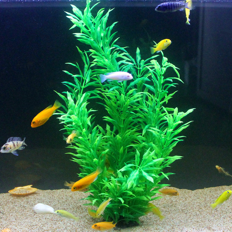50CM sztuczne akwarium rzadkie – Aquarium Fishing recenzja i cena