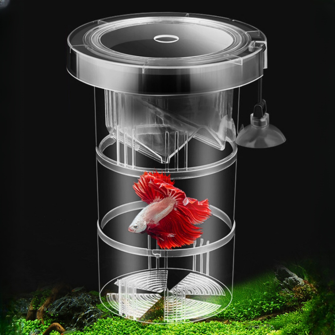 Akrylowe pudełko izolacyjne do – Aquarium Fish Marine recenzja i cena