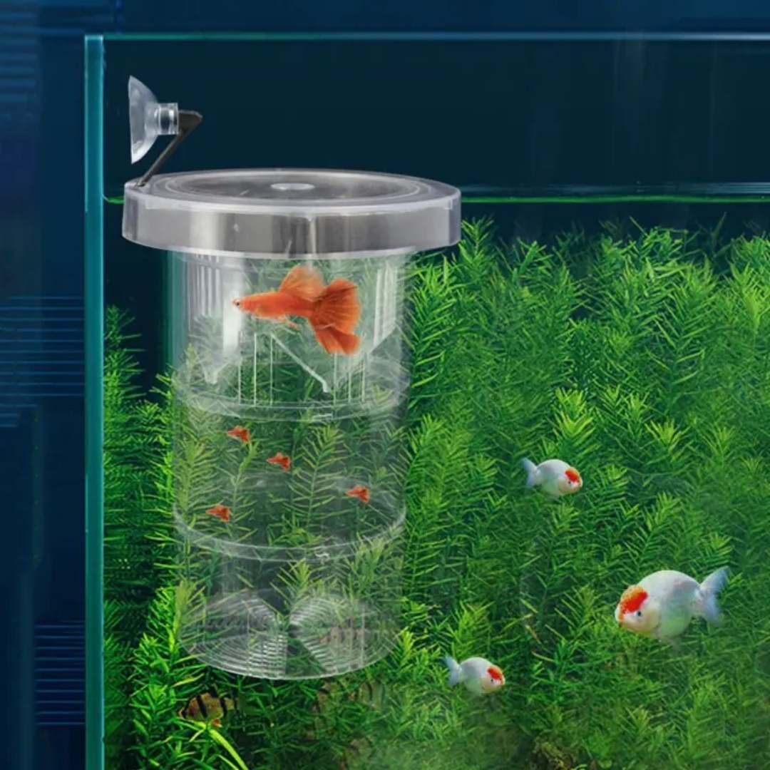 Akrylowe pudełko izolacyjne do – Aquarium Fish Marine recenzja i cena