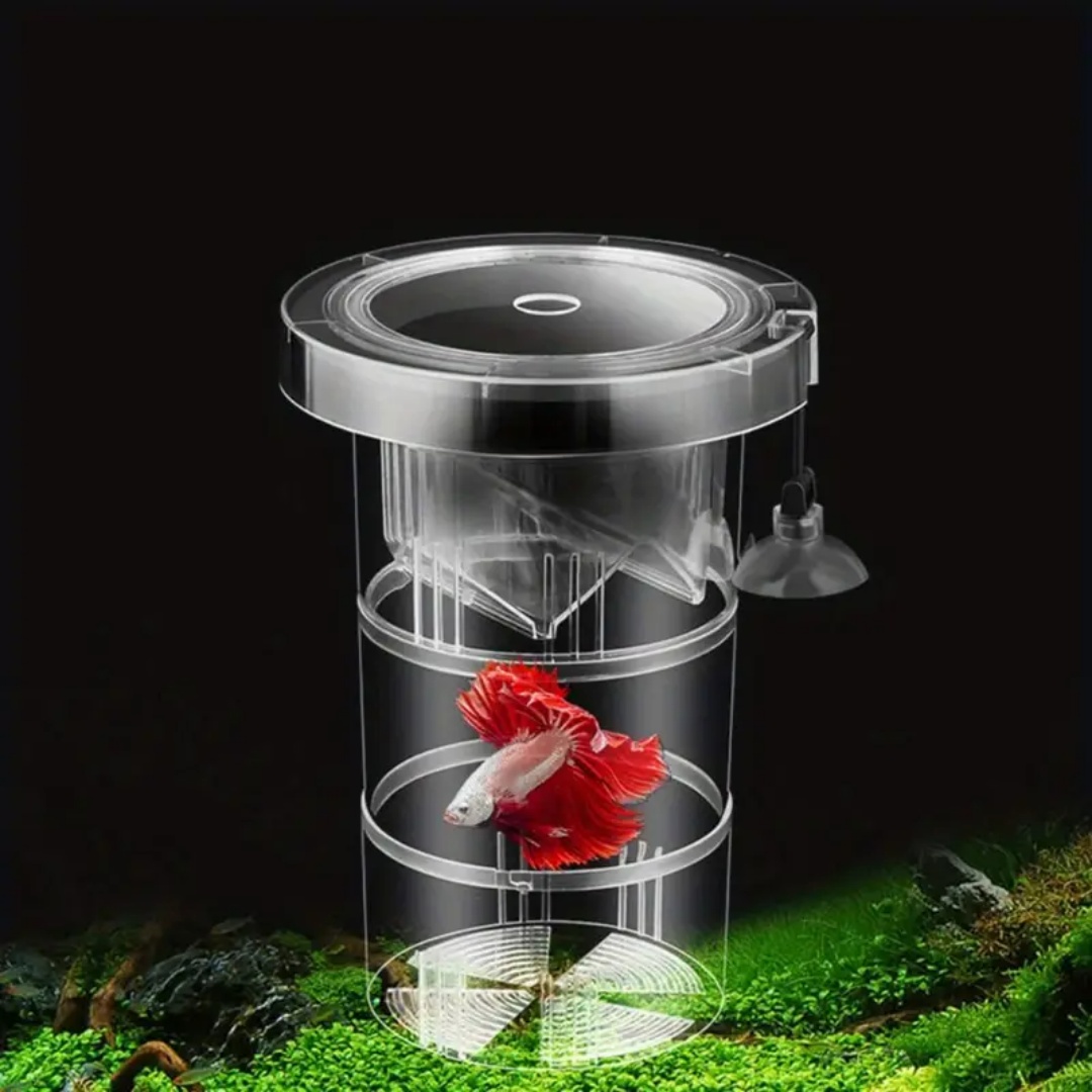 Akrylowe pudełko izolacyjne do – Aquarium Fish Marine recenzja i cena