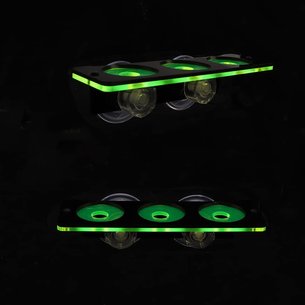Fluorescencyjny koralowy wspor – Aquarium Fish Cichlid recenzja i cena