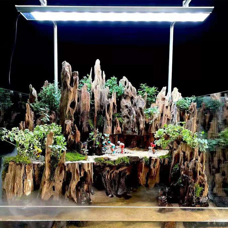 △   Dekoracja akwariowa z drew – Aquarium Fish Cichlid recenzja i cena