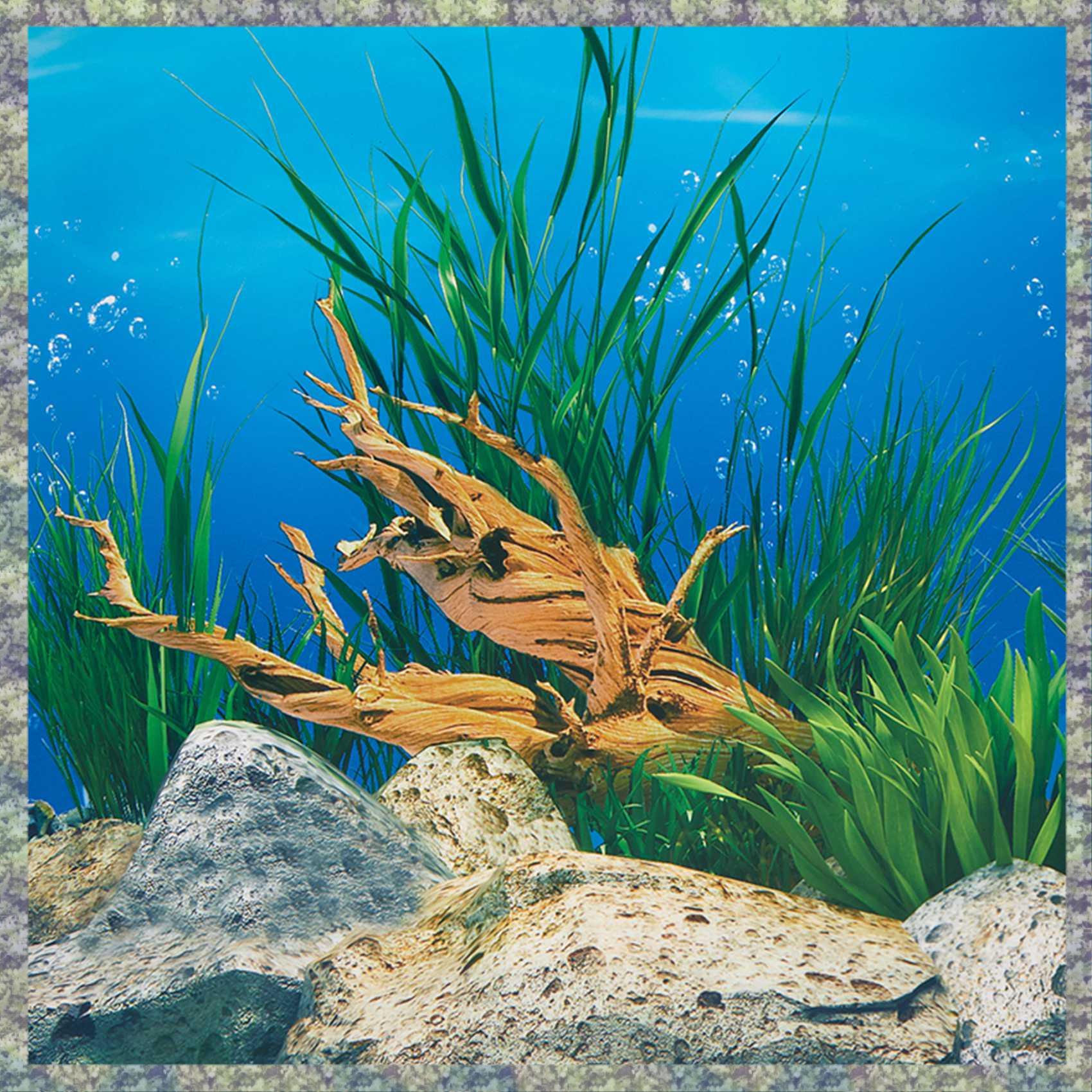WON akwarium papier informacyj – Aquarium Fish Wallpaper Hd recenzja i cena