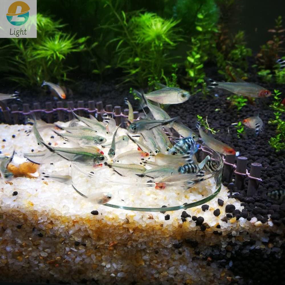 Akwarium podajnik miski danie  – Aquarium Fish Keeping recenzja i cena