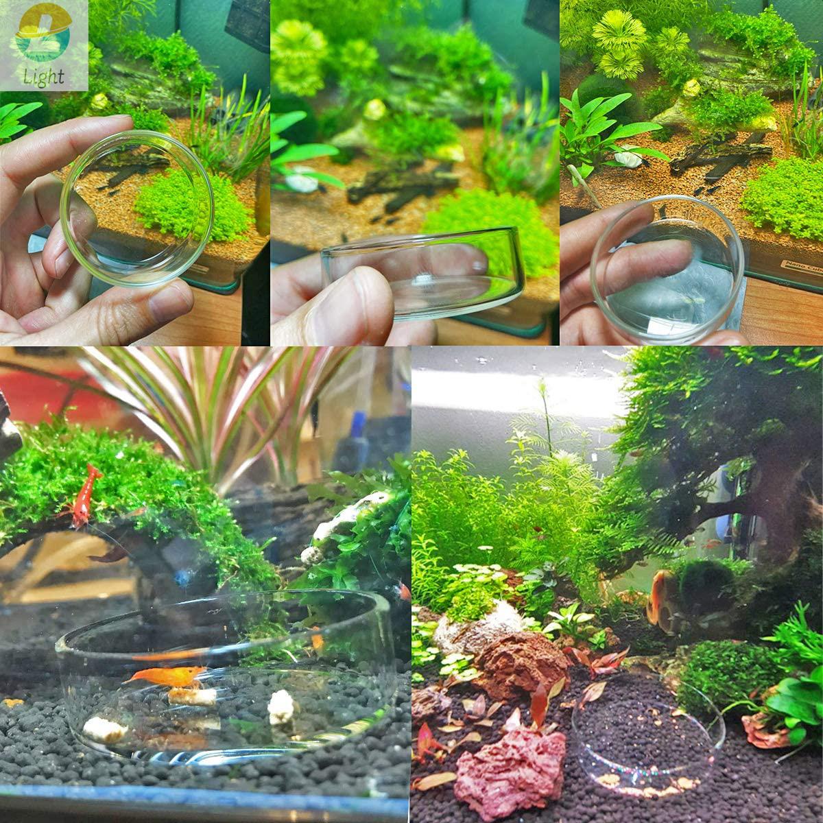 Akwarium podajnik miski danie  – Aquarium Fish Keeping recenzja i cena